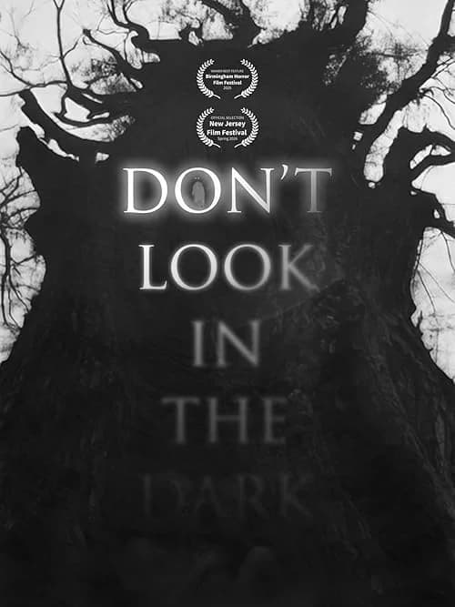 Don't Look in the Dark film posteri